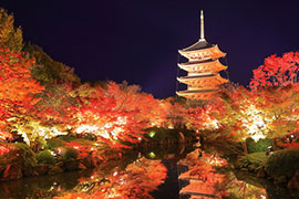 [東寺]
弘法さんの名で親しまれる空海とゆかりのある世界遺産。五重の塔が有名。