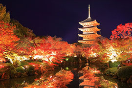 [東寺]
弘法さんの名で親しまれる空海とゆかりのある世界遺産。五重の塔が有名。